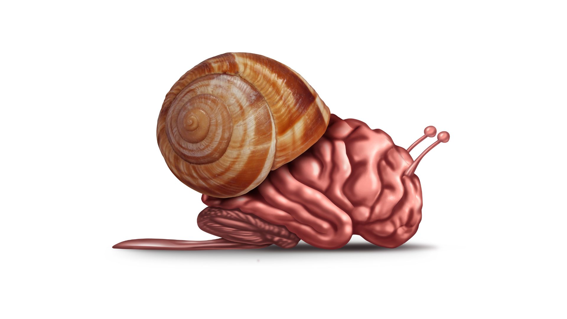 Slow education